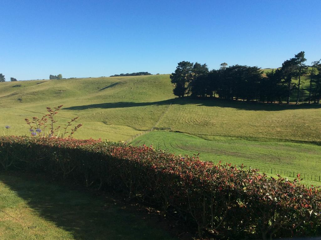 Ataahua Homestay Feilding Extérieur photo